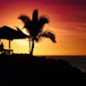 Meet your Posher, Allie